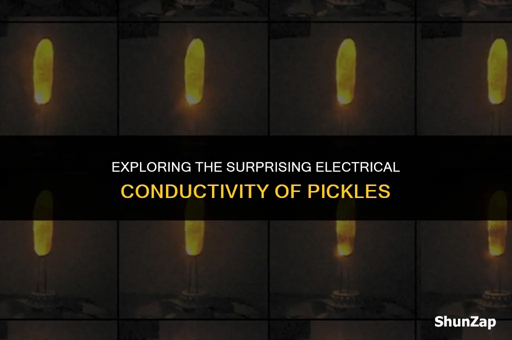 can a pickle conduct electricity