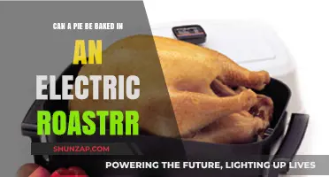 Delicious Pies: The Electric Roaster Baking Revolution