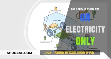 Exploring the Electric-Only Potential of Plug-In Hybrids