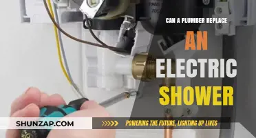 Can a Plumber Replace an Electric Shower: Expert Insights