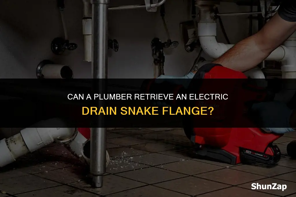 can a plumber retrieve an electric drain snake flange