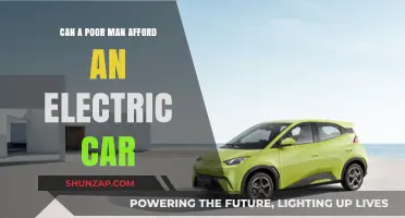 Electric Cars: A Feasible Option for Low-Income Earners?