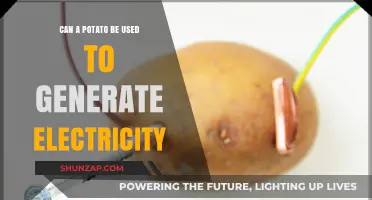 Potato Power: Can Spuds Generate Electricity? Exploring the Science