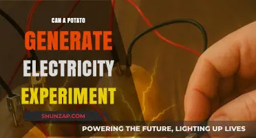 Spud Power: Exploring Electricity Generation with Potatoes