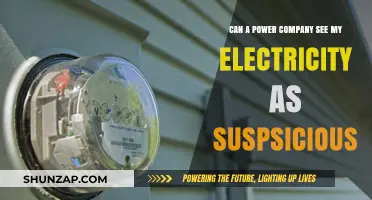 Can Your Power Company Flag Your Electricity Usage as Suspicious?