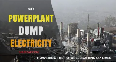 Exploring the Myth: Can Power Plants Really Dump Electricity?