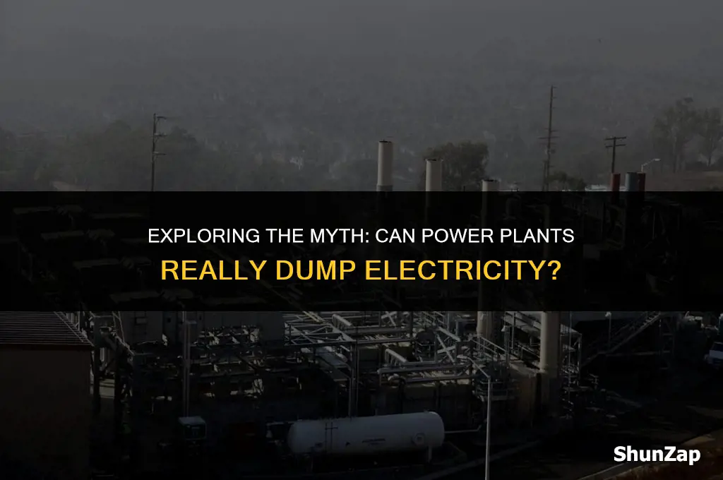 can a powerplant dump electricity