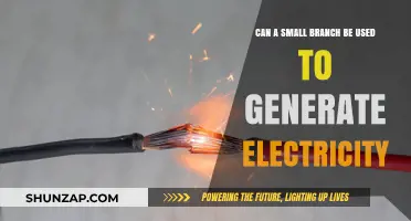 Harnessing Power: Can Small Branches Generate Electricity Efficiently?