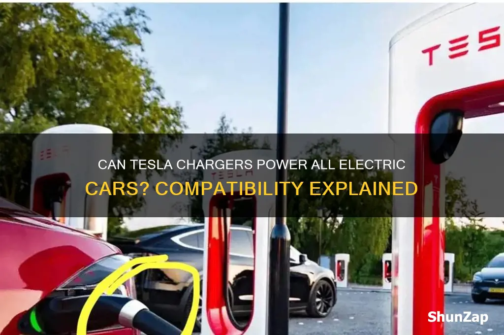 can a tesla charger be use on any electric car