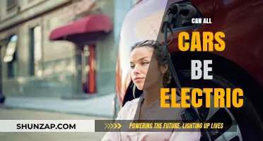 Can All Cars Go Electric? Challenges and Opportunities Ahead
