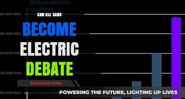 Electric Vehicles for All: Debating the Feasibility of a Global Shift