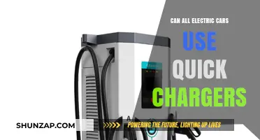 Quick Charging Compatibility: Do All Electric Cars Support Fast Charging?