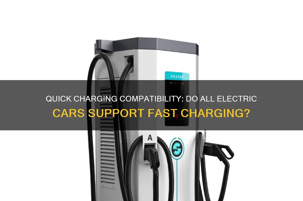 can all electric cars use quick chargers