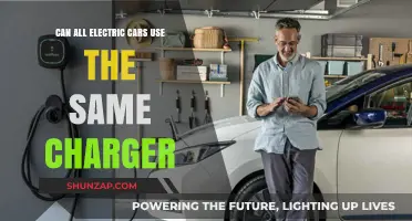 Can All Electric Cars Share the Same Charger? The Truth Revealed