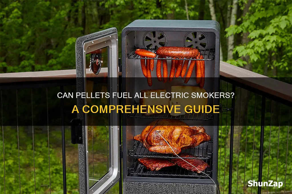 can all electric smokers use pellets