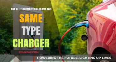 Can All Electric Vehicles Share the Same Charger Type?