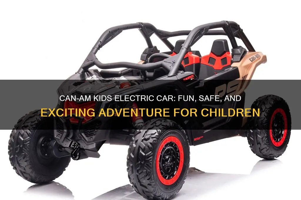 can am kids electric car
