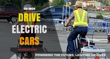 Amish and Electric Cars: Navigating Tradition with Modern Technology