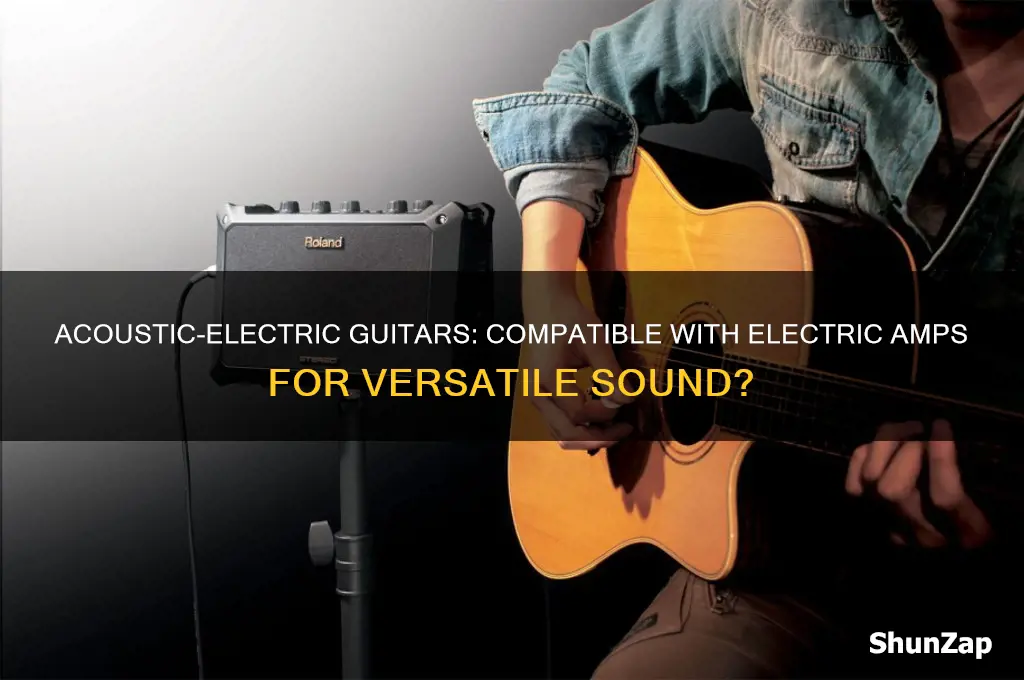 can an acoustic electric be used with an electric amp