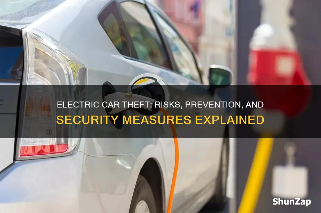 can an electric car be stolen