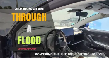 Electric Cars and Floods: Safe to Drive Through Water?