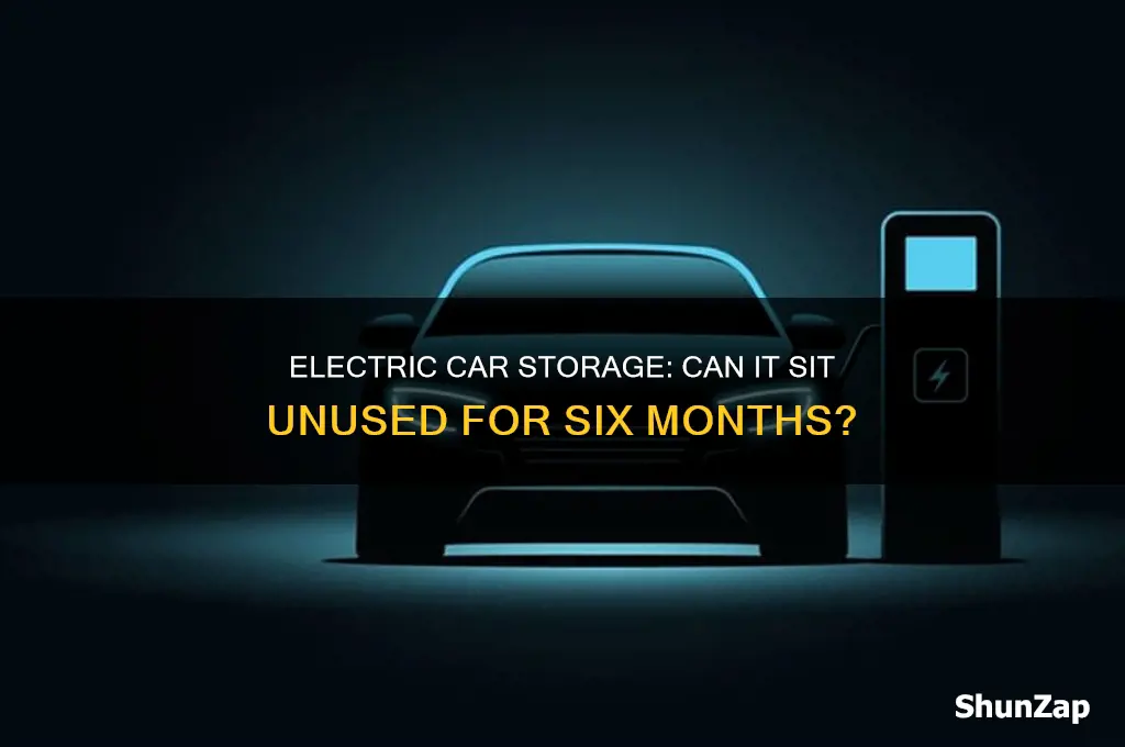 can an electric car sit unused for 6 months