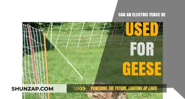 Using Electric Fences for Geese: Effective Deterrent or Risky Choice?
