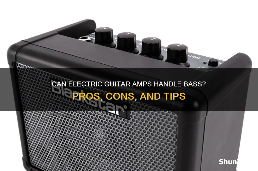 can an electric guitar amp be used for a bass