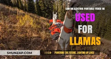 Electric Portable Fences: Safe and Effective for Llamas?