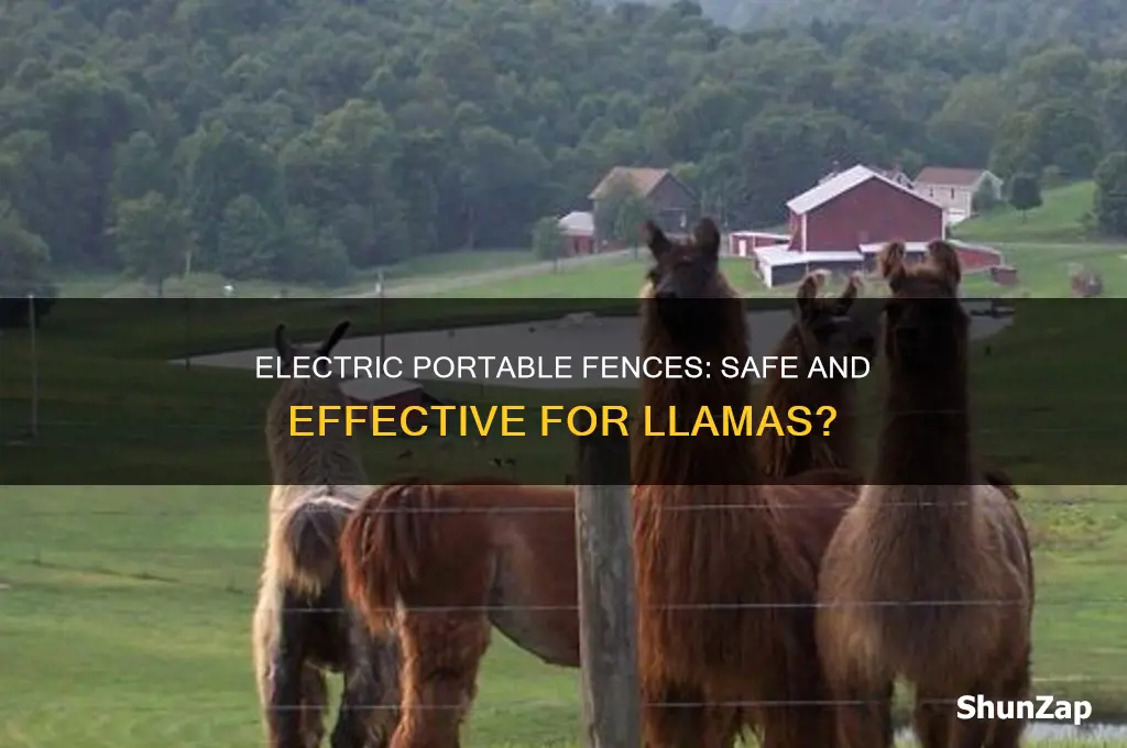 can an electric portable fence be used for llamas