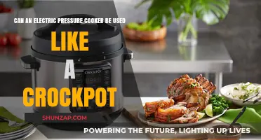 Electric Pressure Cooker vs. Crockpot: Slow Cooking Made Easy?