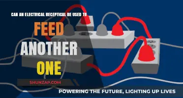 Can One Electrical Receptacle Safely Power Another? Expert Insights
