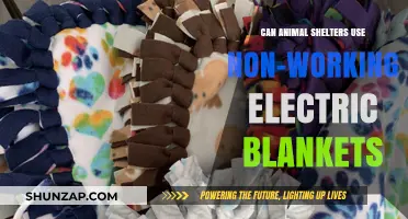 Can Non-Working Electric Blankets Provide Comfort in Animal Shelters?