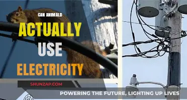 Can Animals Harness Electricity? Exploring Nature's Shocking Abilities