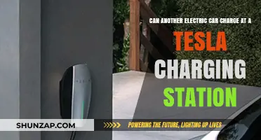 Can Non-Tesla Electric Vehicles Use Tesla Charging Stations?
