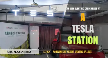 Can Non-Tesla Electric Cars Charge at Tesla Stations? Explained