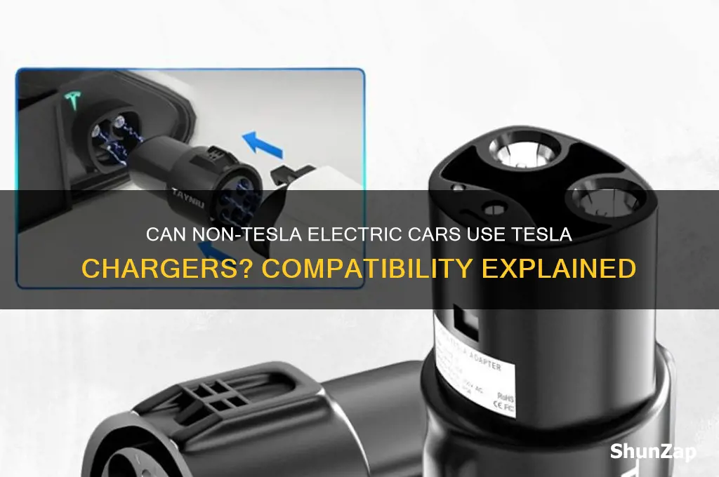 can any electric car use a tesla charger