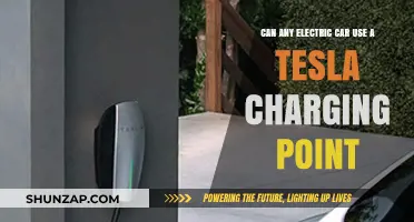 Can Non-Tesla Electric Cars Use Tesla Charging Stations?