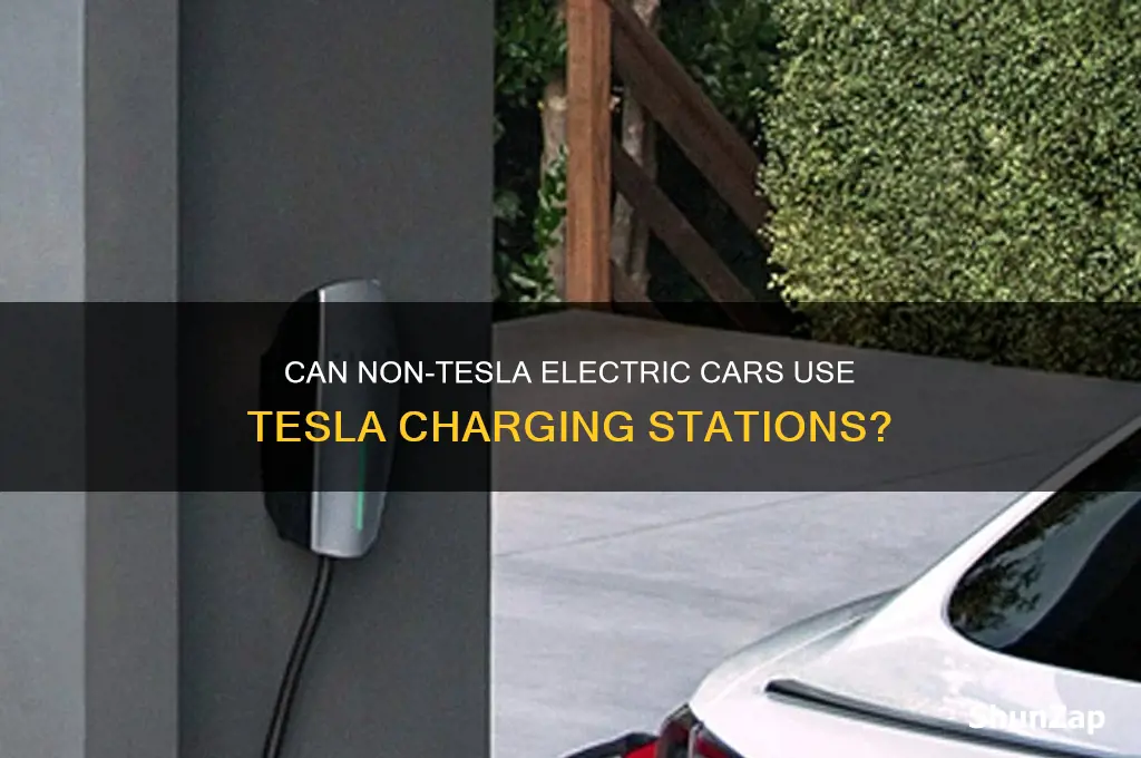 can any electric car use a tesla charging point