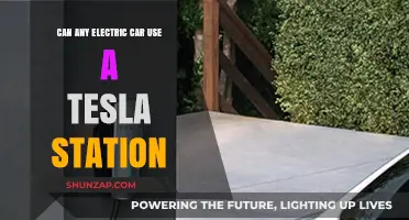 Can Non-Tesla Electric Cars Charge at Tesla Stations? Explained