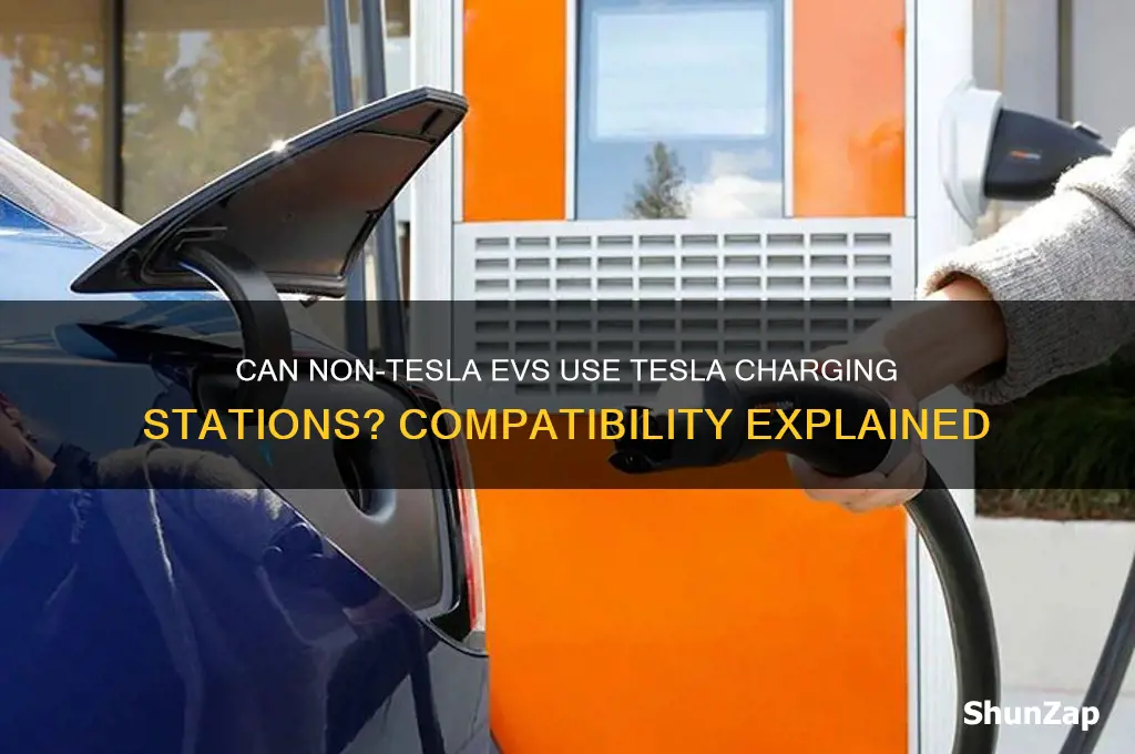 can any electric vehicle use a tesla charging station