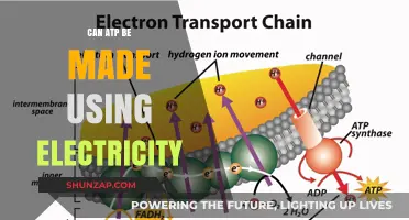 Can Electricity Power ATP Production? Exploring Alternative Energy Pathways