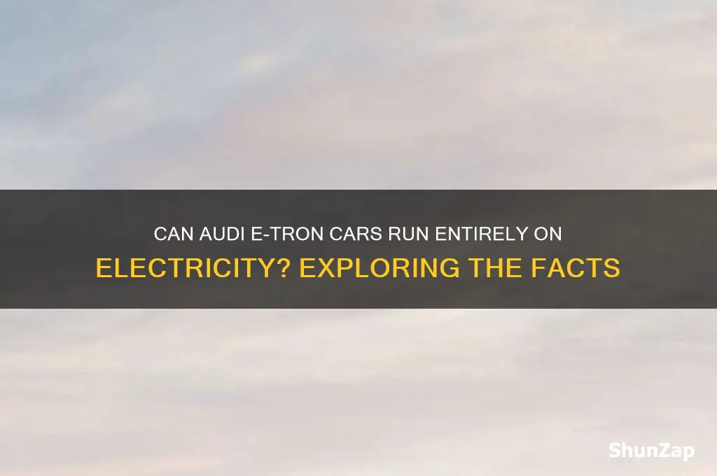 can audi etron cars runs entirely on electricity