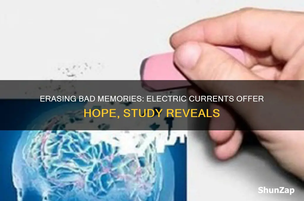 can bad memories be erased using electric currents study finds