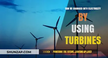 Harnessing Renewable Energy: How Turbines Convert Resources into Electricity