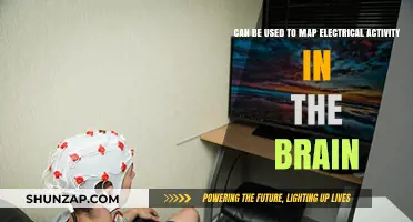 Mapping Brain Electrical Activity: Innovative Tools and Their Applications