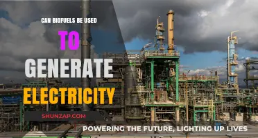 Biofuels for Electricity: A Sustainable Power Generation Alternative?