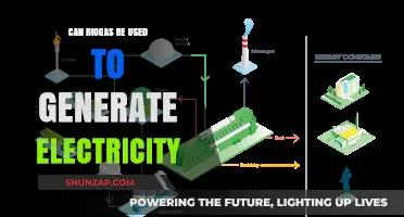 Harnessing Biogas: A Sustainable Solution for Electricity Generation