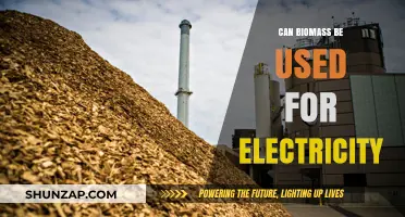 Harnessing Biomass Energy: A Sustainable Electricity Generation Solution?