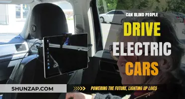 Can Blind People Drive Electric Cars? Exploring Autonomous Vehicle Accessibility